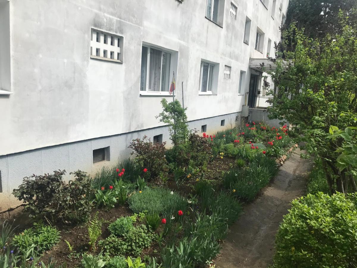 Apartament Colina Cluj-Napoca Luaran gambar